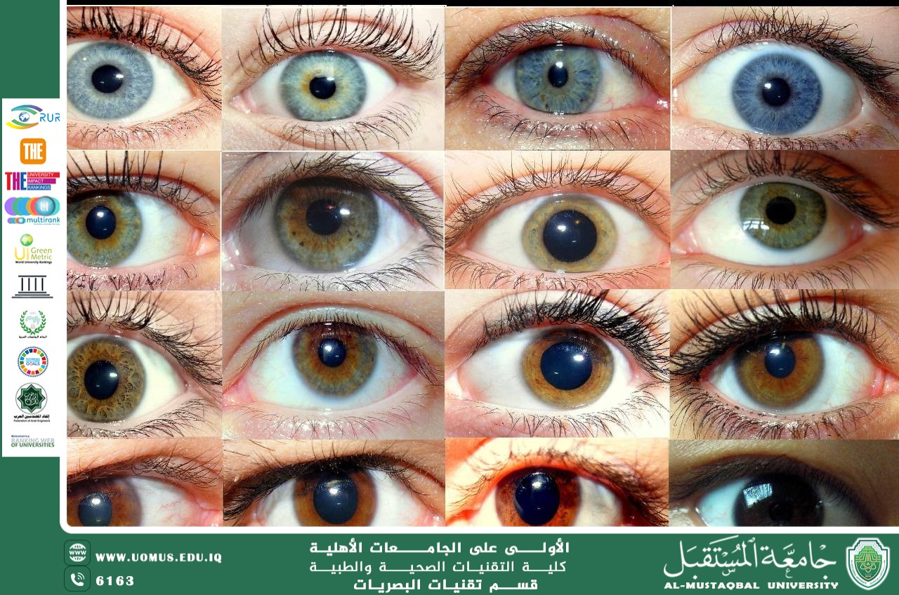 مقاله علمية للتدريسيه حنين حيدر حسين بعنوان الوراثة ولون العيون: دراسة علمية في الأساس الجيني والتنوع البشري