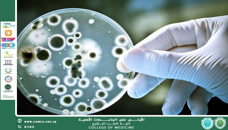 البكتيريا: بين الدور الحيوي في صحة الإنسان والتحديات المرضية المعاصرة