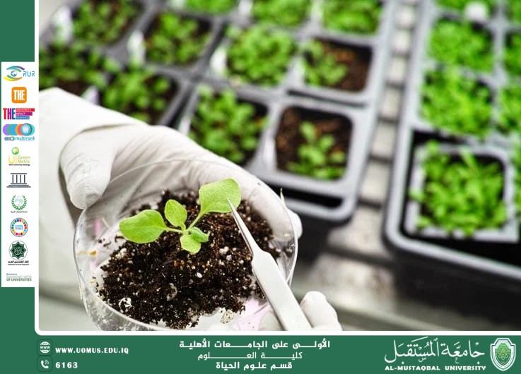 مقالة علمية للمعيده علا عادل رسمي بعنوان: دور التكنولوجيا الحيوية في تحسين الإنتاج الزراعي