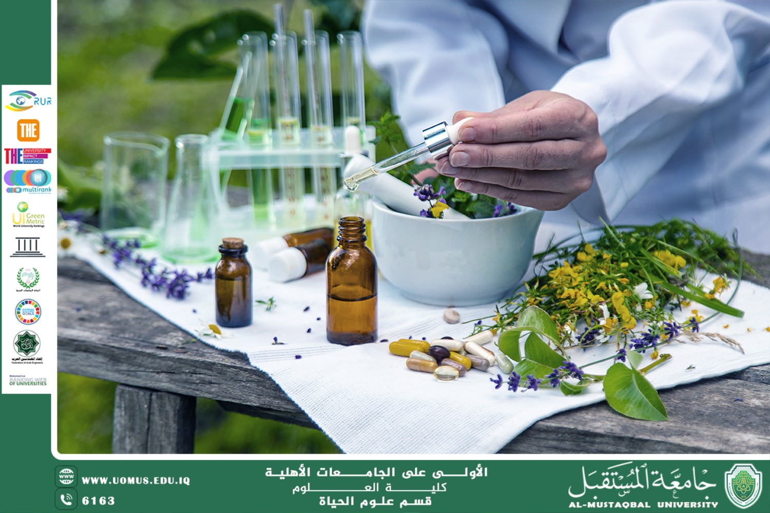 مقالة علمية للآنسة نور الهدى عزمي حسن بعنوان: استخدام النباتات الطبية في علاج الأمراض المزمنة