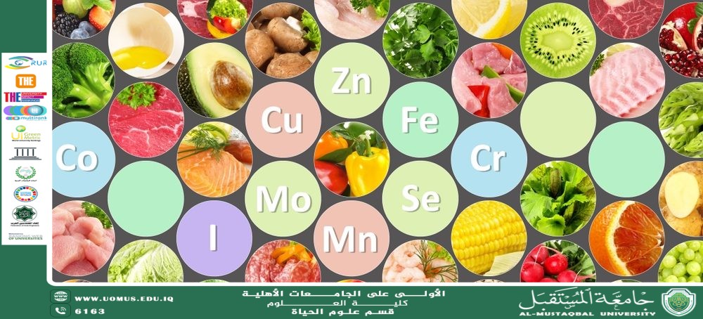 "Scientific article by Miss Noor alhuda Azmi Hasan entitled: The Effect of Minerals and Chemical Elements on Body Functions"