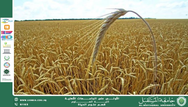 A scientific article by lecturer Duha Salah Saheb entitled "Genetically Modified Plants to Improve Their Nutritional Value"