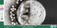 الأهمية الطبية والعلاجية للعاثيات البكتيرية (Bacteriophages)
