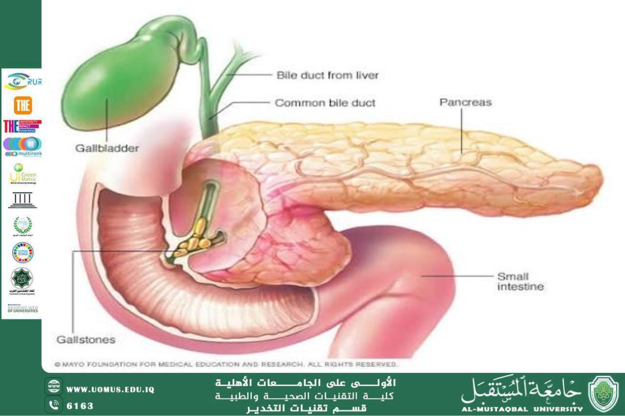Scientific Article About Pancreatitis