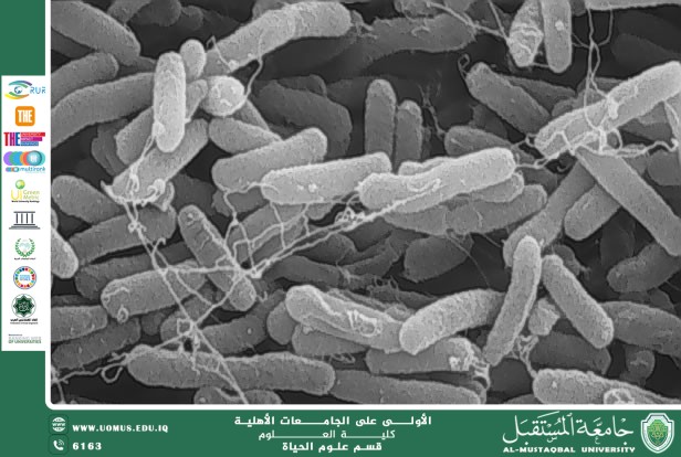 مقالة علمية للانسة نور الهدى عزمي بعنوان :البيولوجيا الاصطناعية وتصميم الكائنات الدقيقة