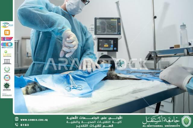Modern surgical techniques in veterinary medicine