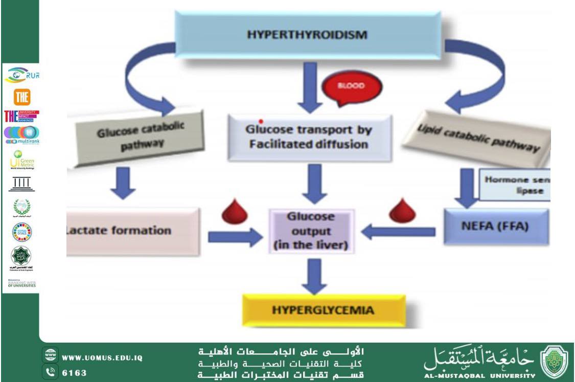 مقالة علمية للدكتورة سجا لطيف سلمان بعنوانThe Interrelationship Between Diabetes Mellitus and Thyroid Disorders