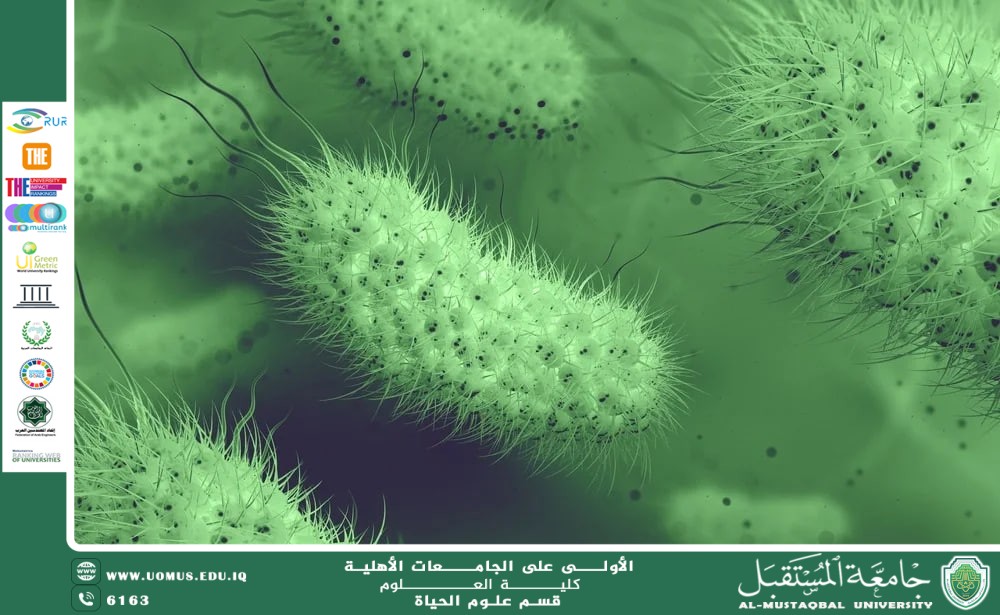 مقالة علمية للتدريسية م.م ضحى صلاح صاحب بعنوان : التقنيات الحديثة لدراسة الأحياء المجهرية في البيئات المائية