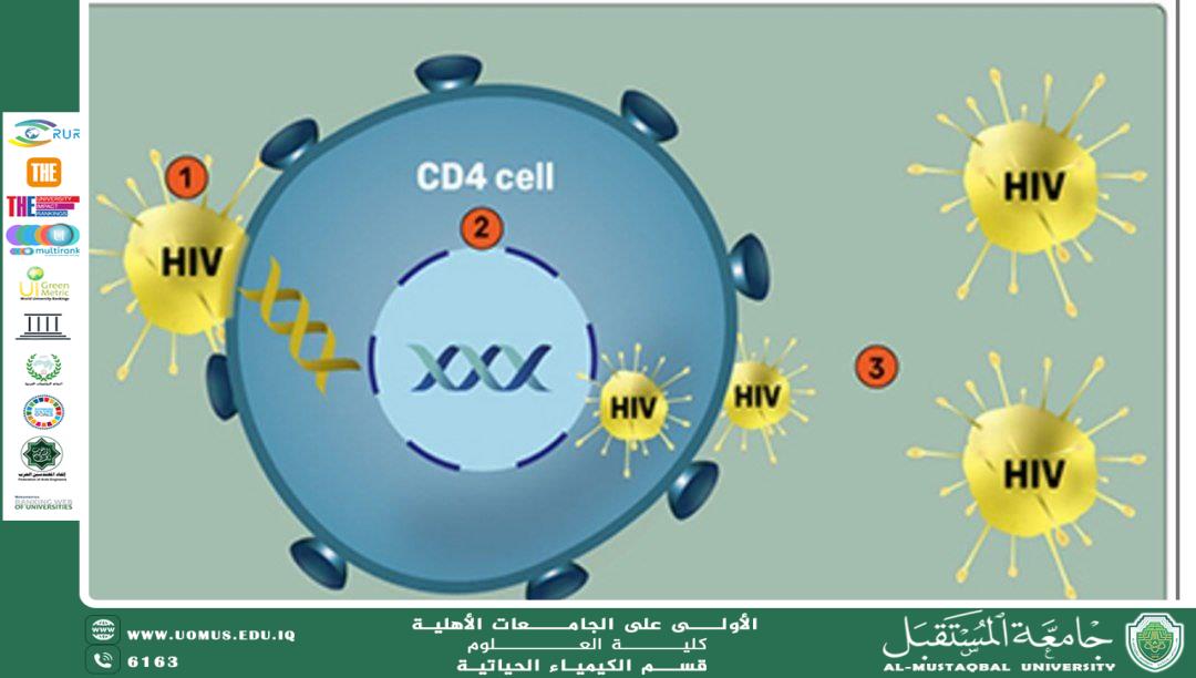مقالة علمية الاستاذ الدكتور ناصر عبد الحسن ناصر بعنوان دور الكيمياء الحيوية الطبية في تشخيص مرض الإيدز