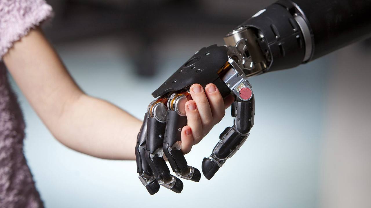 Types of Prosthetic Limbs and Their Functions