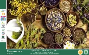 أهمية الأعشاب الطبية في تعزيز المناعة والصحة العامة