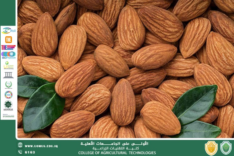 Almond