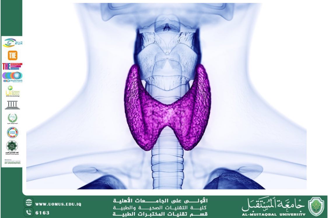 مقالة علمية للدكتور زيد عبد الهادي بعنوان : فرط نشاط الغدة الدرقية