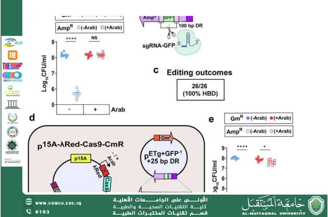 A Scientific Article by Dr. Ali Turki Entitled: “An Advanced Gene-Based Platform: A New CRISPR-Cas Tool That Spreads Through Bacteria to Disable Antibiotic Resistance Genes.”
