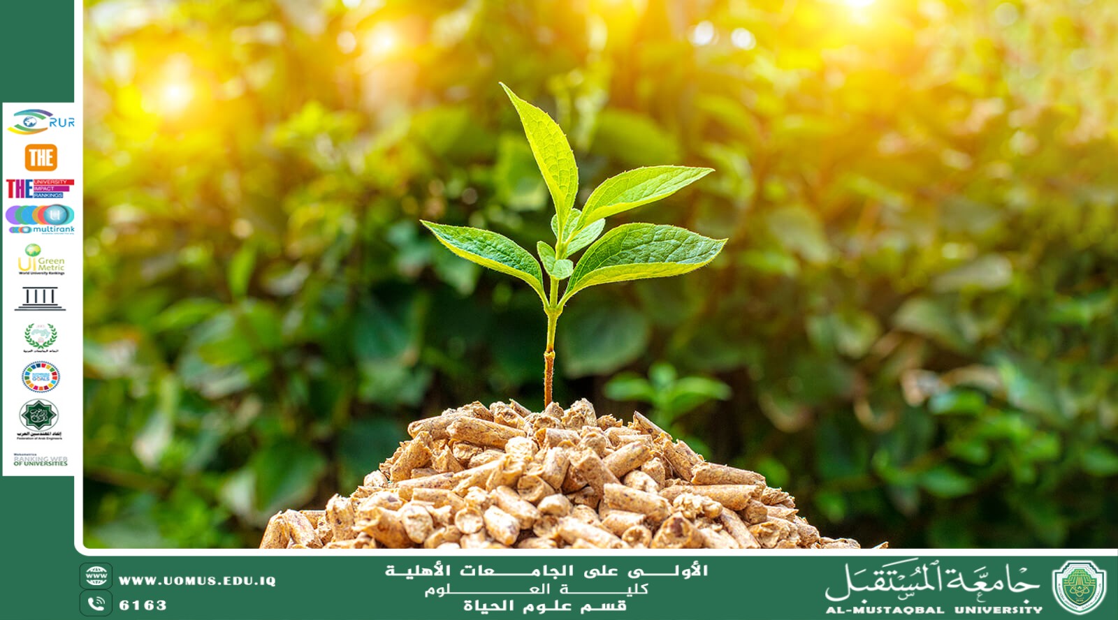 مقالة علمية للانسة نور الهدى عزمي حسن بعنوان "الطاقة الحيوية من النباتات"