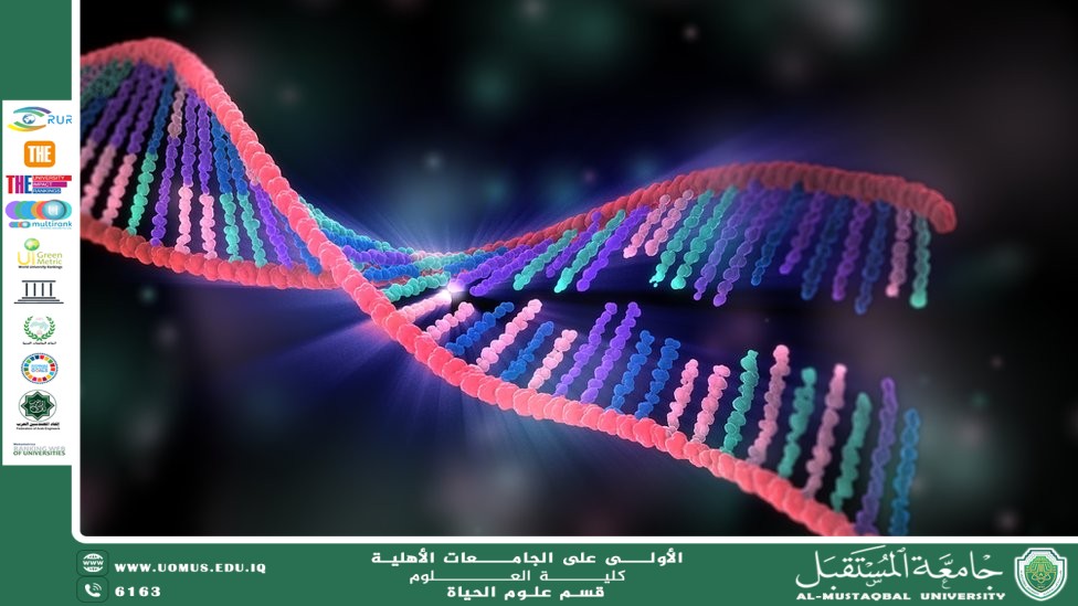 مقالة علمية للآنسة نور الهدى عزمي حسن بعنوان: دور الحمض النووي (DNA) في نقل الصفات الوراثية