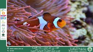 A scientific article by Dr. Sarah Kamel Aboud entitled "The Interrelationship between Medicinal Plants and Microorganisms: A Scientific and Applied Perspective"