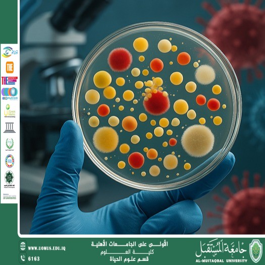 A scientific article by lecturer Duha Salah Saheb entitled "Vaccine Production Using Microbiology Techniques"