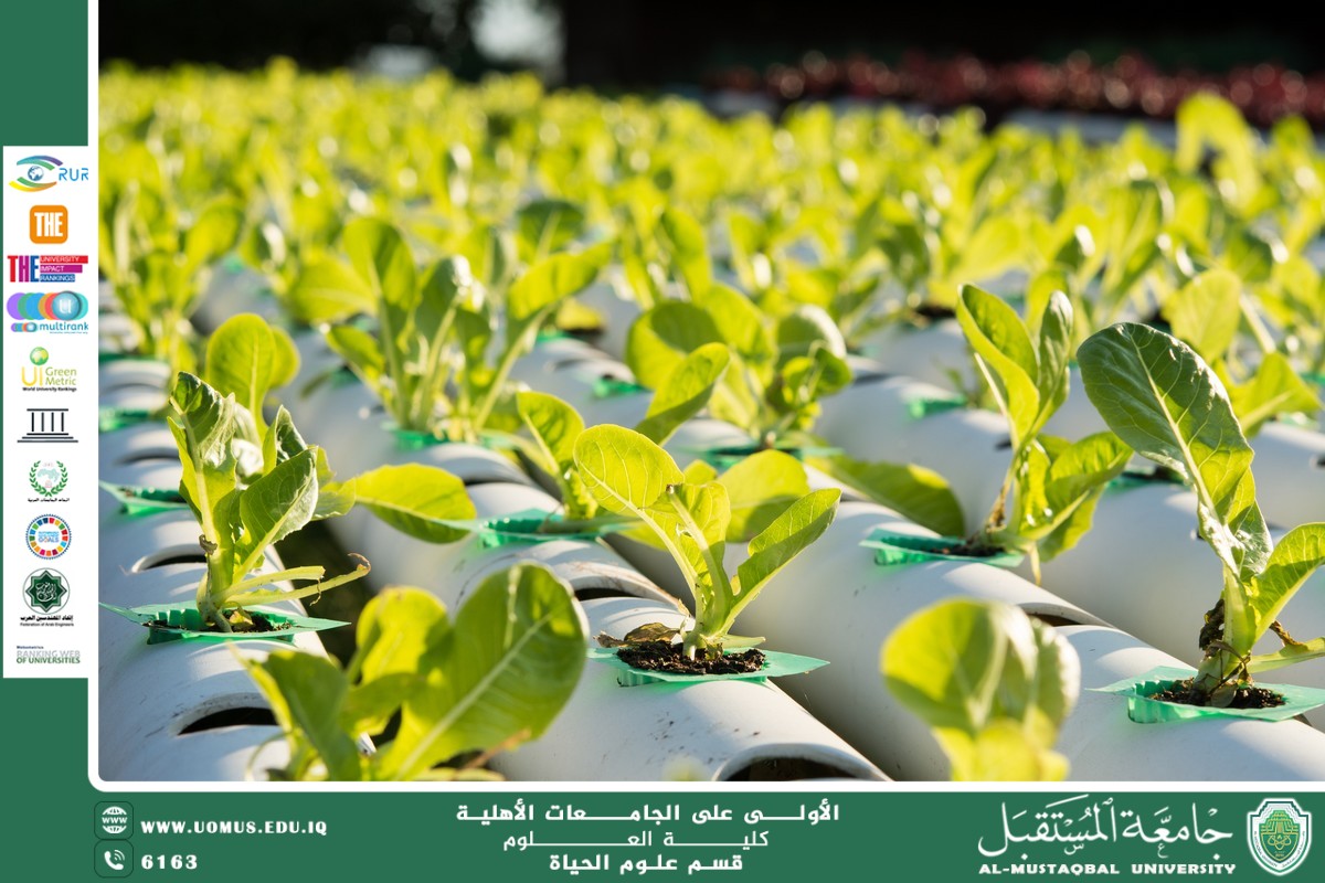 مقالة علمية للانسة نور الهدى عزمي حسن بعنوان "الزراعة بدون تربة وتأثيرها البيئي"