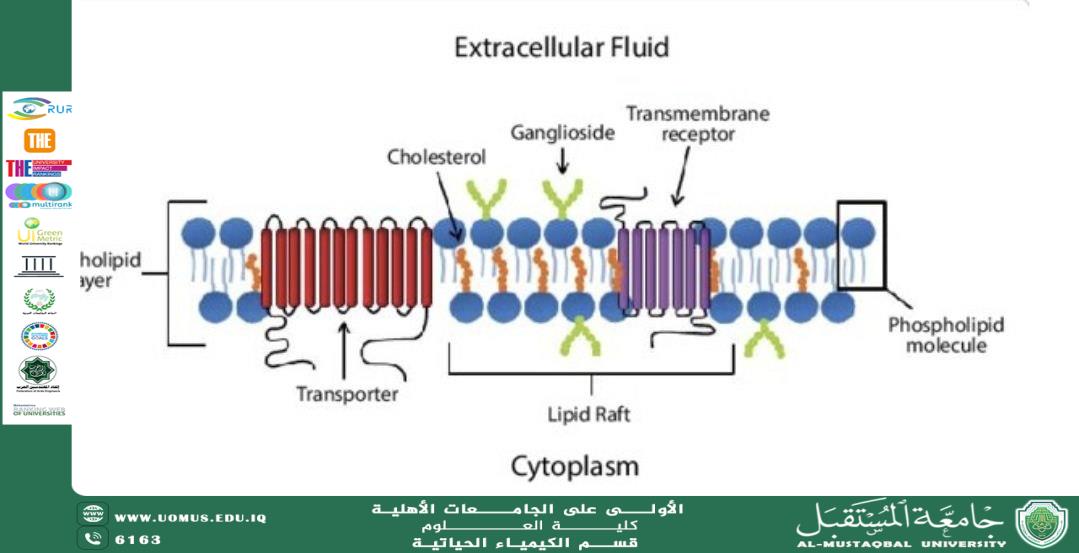 Essential Lipids Synthesized by the Body and Their Biological Importance Prepared by: Lect. Abbas Hamza Khudhair Department of Biochemistry – College of Science – Al-Mustaqbal University