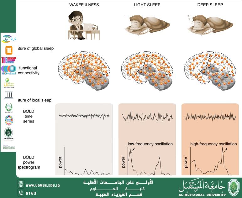 Does the Human Clean Its Own Brain During Sleep?  Scientific Article by Instructor Iftikhar Thamir