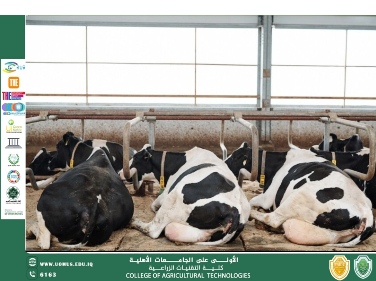 Environmental and animal behavior management in animal production systems