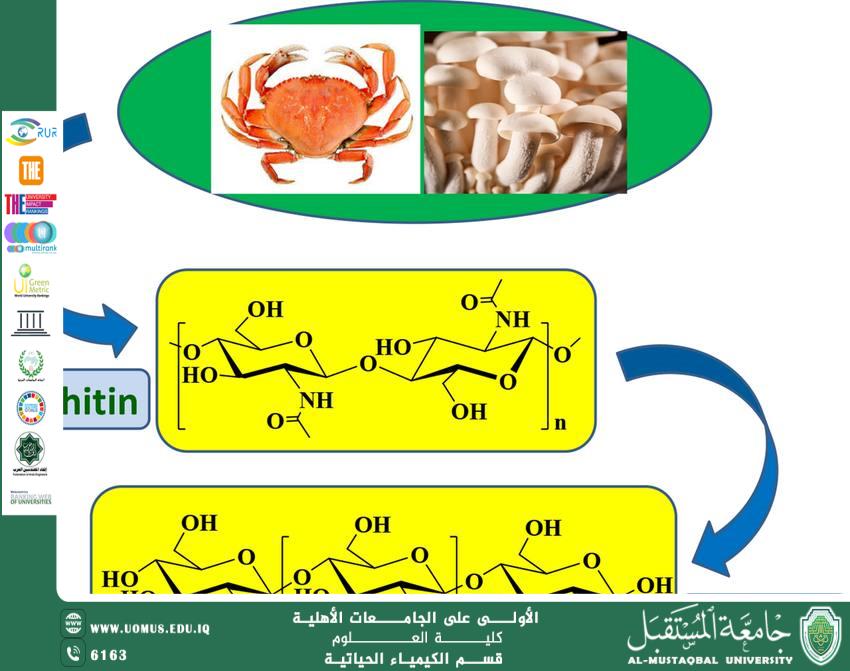 مقالة علمية للتدريسية م.م زهراء حازم حامد بعنوان استخدام الكيتين والكيتوزان في تحضير مواد حيوية مبتكرة