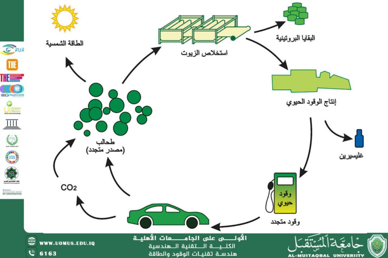 الوقود الحيوي ودوره في تحقيق الطاقة المستدامة وحماية البيئة