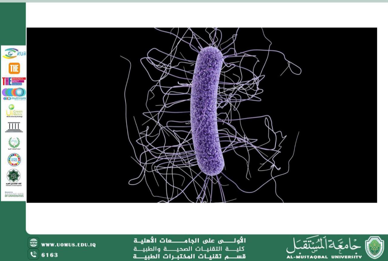 مقالة علمية للتدريسية زهراء عبيس علي بعنوانClostridium difficile: A Scientific Overview of a Major Pathogenic Bacterium