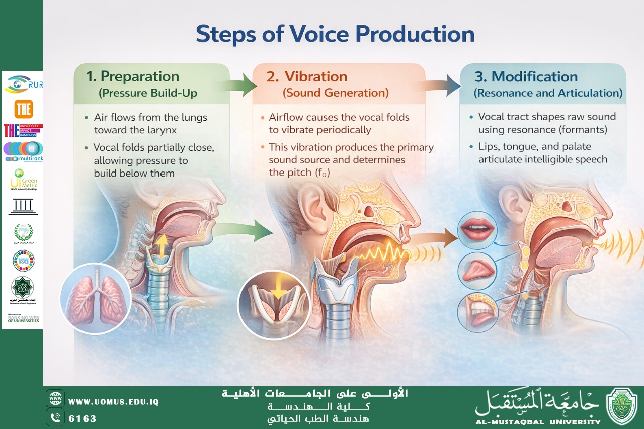 Biomedical Engineering students successfully design and manufacture an artificial larynx for laboratory applications