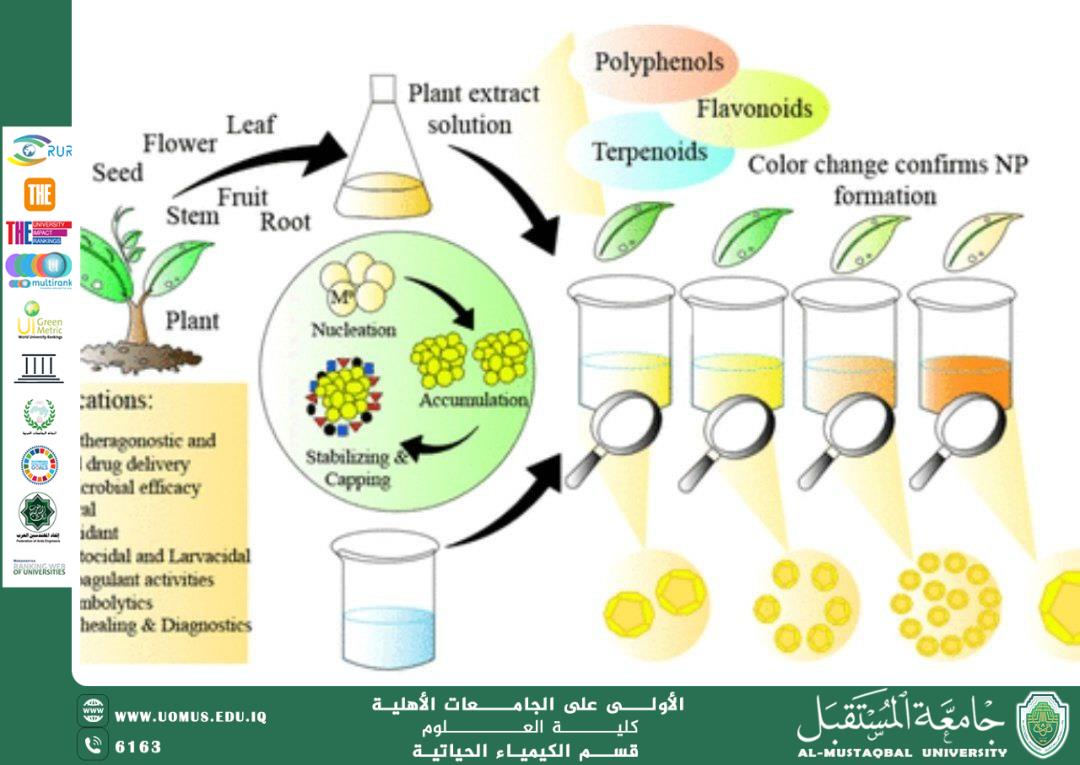 A Sustainable Approach for the Synthesis of Nanomaterials Using Fruit Peels and Their Applications in Water Treatment and Pollution Remediation