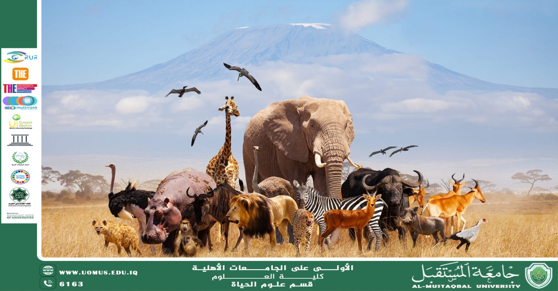 مقالة علمية للتدريسية بنين معن كريم بعنوان " تنوع الحياة الحيوانية وأهميته البيئية والاقتصادية"