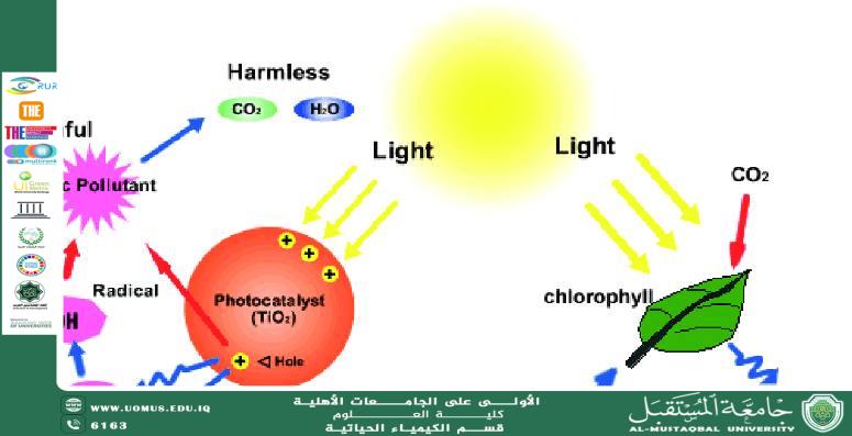 مقالة علمية للتدريسية م.م زهراء حازم حامد بعنوان التحفيز بالضوء (Photocatalysis) لتخليق مركبات عضوية باستخدام الطاقة الشمسية