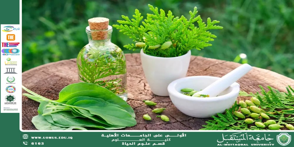 مقالة علمية للتدريسية م.م زينب ناظم عزيز بعنوان النباتات الطبية