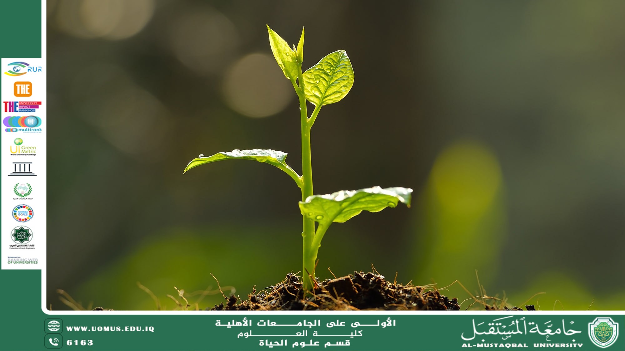 مقالة علمية للتدريسية م.م زينب ناظم عزيز بعنوان :انتقال الماء والأملاح في النبات