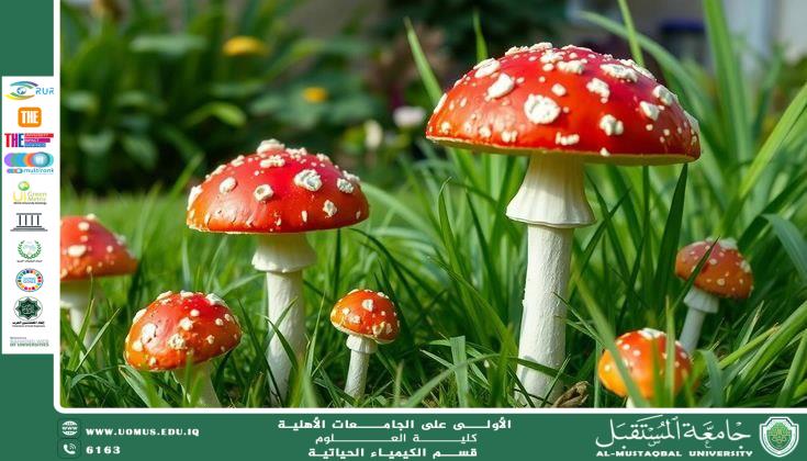 مقالة علمية بعنوان فطر Rhizopus وأهميته الطبية  من قبل التدريسي: م.م. عباس حمزة خضير قسم الكيمياء الحياتية – كلية العلوم – جامعة المستقبل