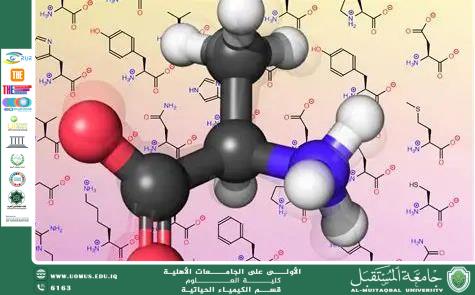 Scientific Article Title Amino Acids and Their Importance in the Human Body