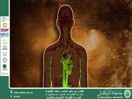 How Toxins Enter the Human Body and Their Effects on Health