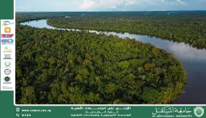 مقالة لتدريسية في قسم الهندسة الكيمياوية م.م ابرار فلاح ناجي بعنوان الغابات وأهميتها في التوازن البيئي