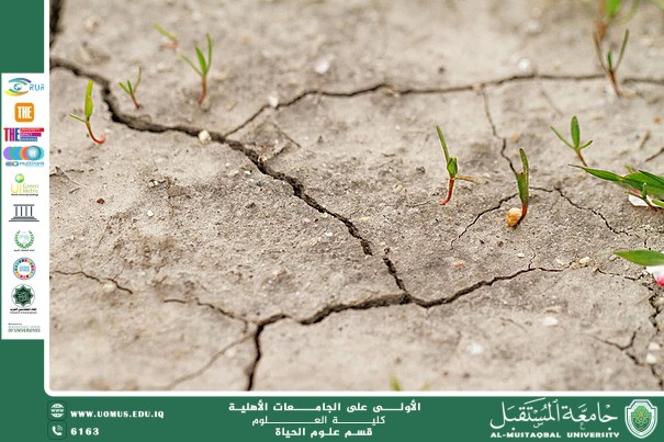 مقالة علمية للمعيدة علا عادل رسمي بعنوان : التربة المالحة