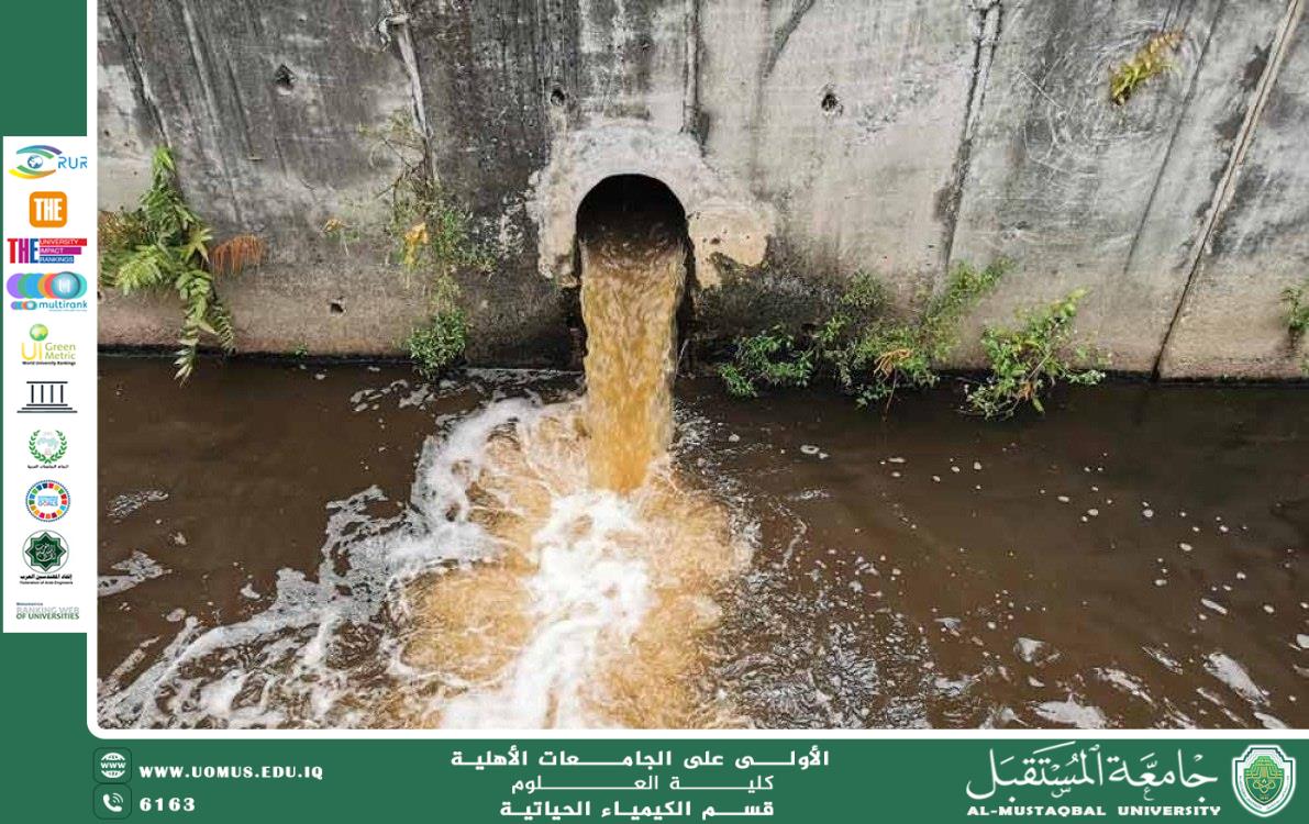 : The Role of Nanomaterials in Treating Water Contamination by Heavy Metals