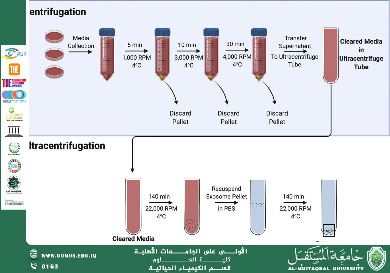مقالة علمية لرئيس قسم الكيمياء الحياتية أ.د ناصر عبد الحسن ناصر بعنوان تقنيات الطرد المركزي في عزل الحويصلات خارج الخلوية كمؤشرات تشخيصية حديثة