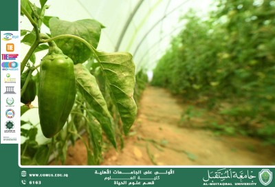 مقالة علمية للانسة نور الهدى عزمي حسن بعنوان "إنتاج الغذاء العضوي "