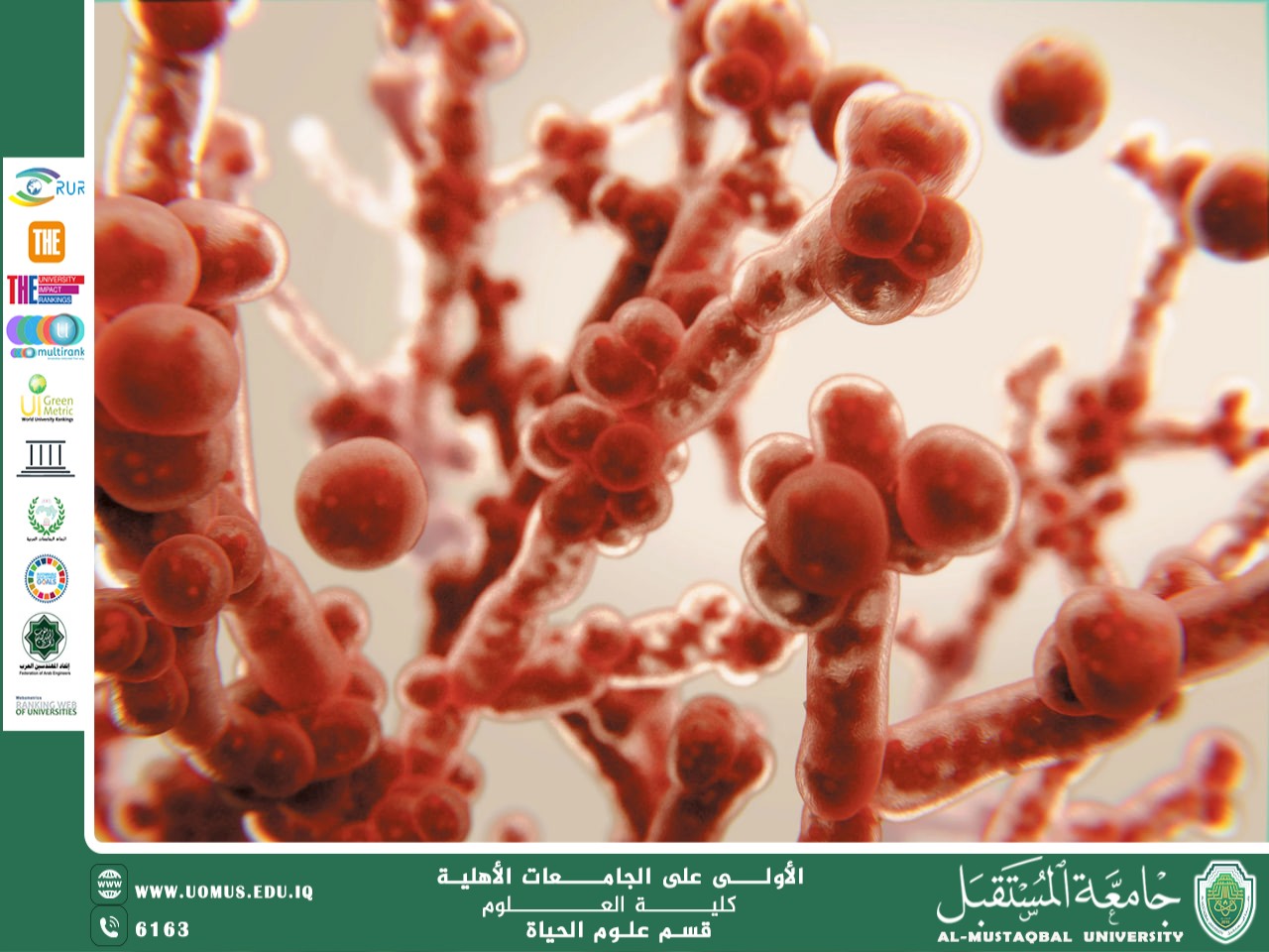 مقالة علمية للانسة نور الهدى عزمي حسن بعنوان "الفطريات المجهرية وتأثيرها في صحة الإنسان"