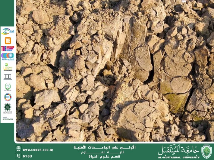 مقالة علمية للانسة نور الهدى عزمي حسن بعنوان : التربة الطميية