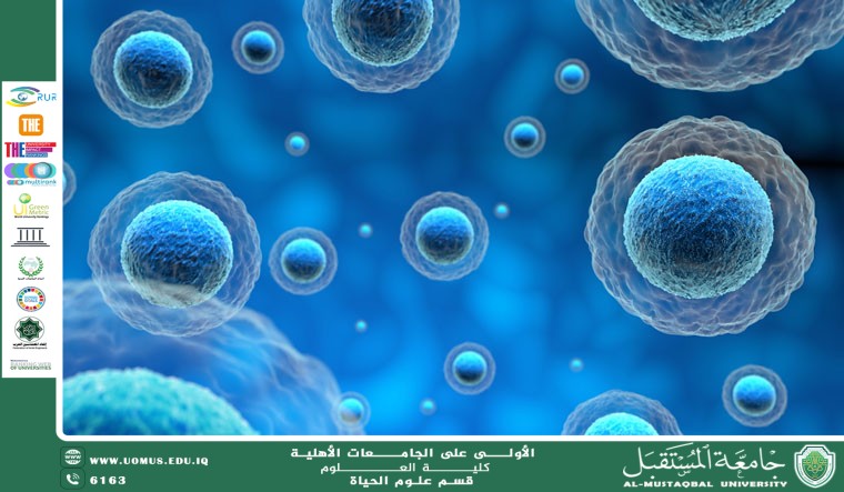 مقالة علمية للآنسة نور الهدى عزمي حسن بعنوان: التواصل بين الخلايا وأهميته في تنظيم العمليات الحيوية