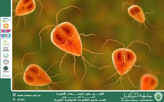 مقالة علمية بعنوان "أهمية الفحص المجهري في تشخيص الطفيليات الطبية" للمعيدة ( مدلولة مؤيد فايق )