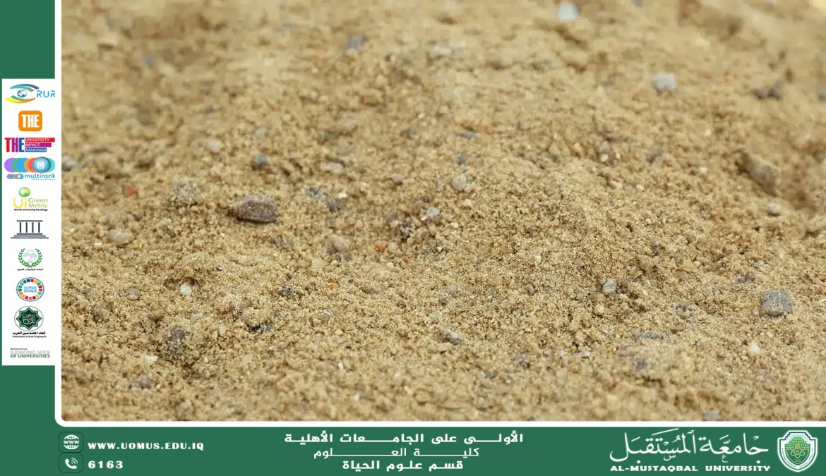 مقالة علمية للتدريسية بنين معن كريم بعنوان : التربة الرملية
