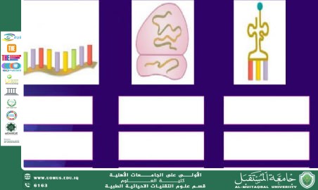 مقالة علمية بعنوان " هندسة الـ RNA غير المشفر" للمعيدة (مدلولة مؤيد فايق ".