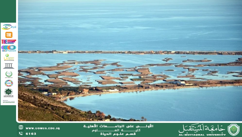 مقالة علمية للانسة نور الهدى عزمي حسن بعنوان "حماية الأراضي الرطبة "